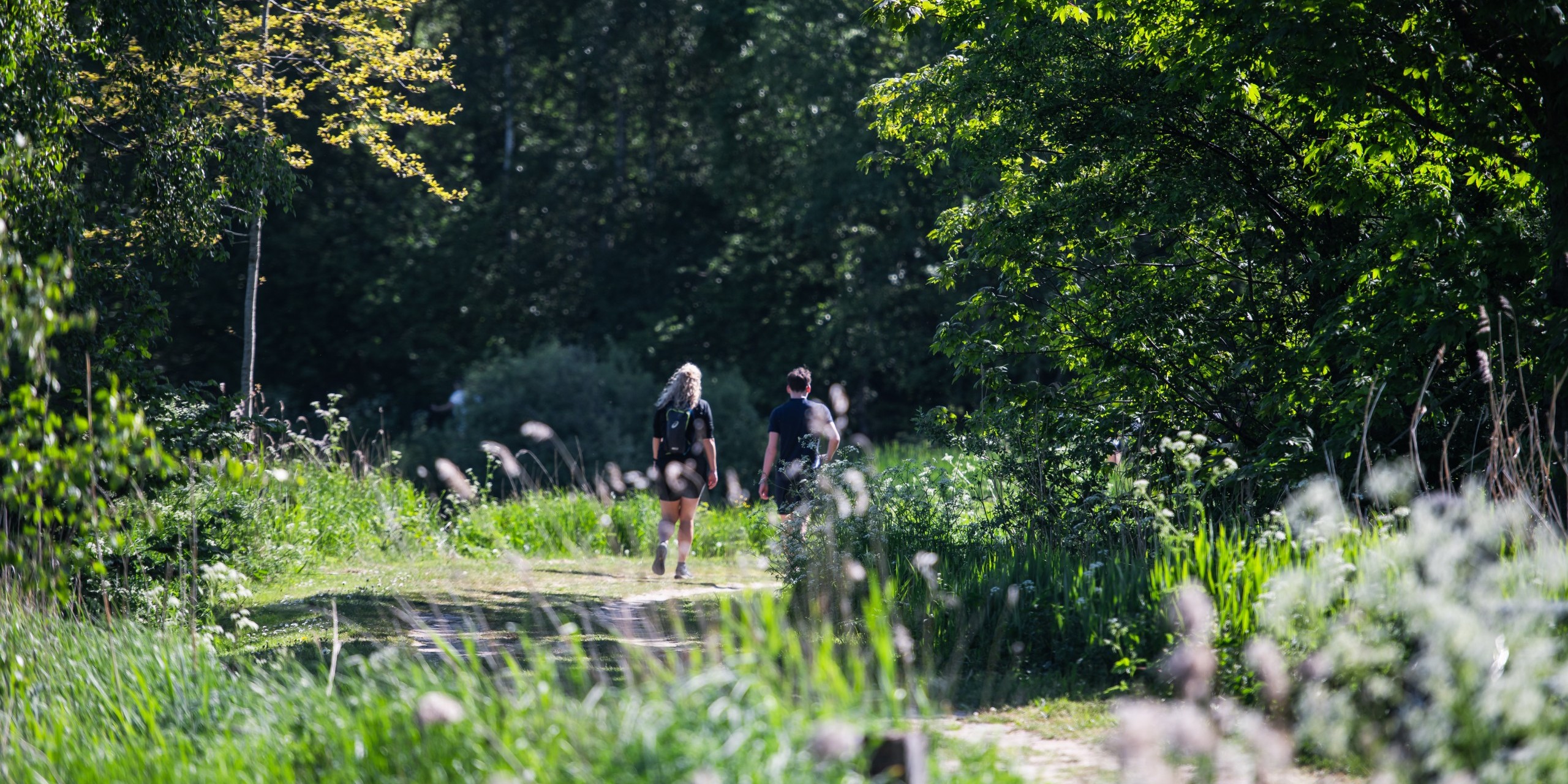 WIEBESIETZE-LOOPLEEUWARDEN-20250511-103917-WSP_6329